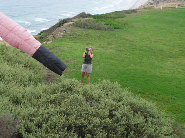 From Air - Paraglider 08